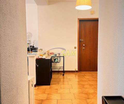 AMPIO BILOCALE CON DOPPIO BALCONE E CANTINA - PIAZZALE MARTINI 