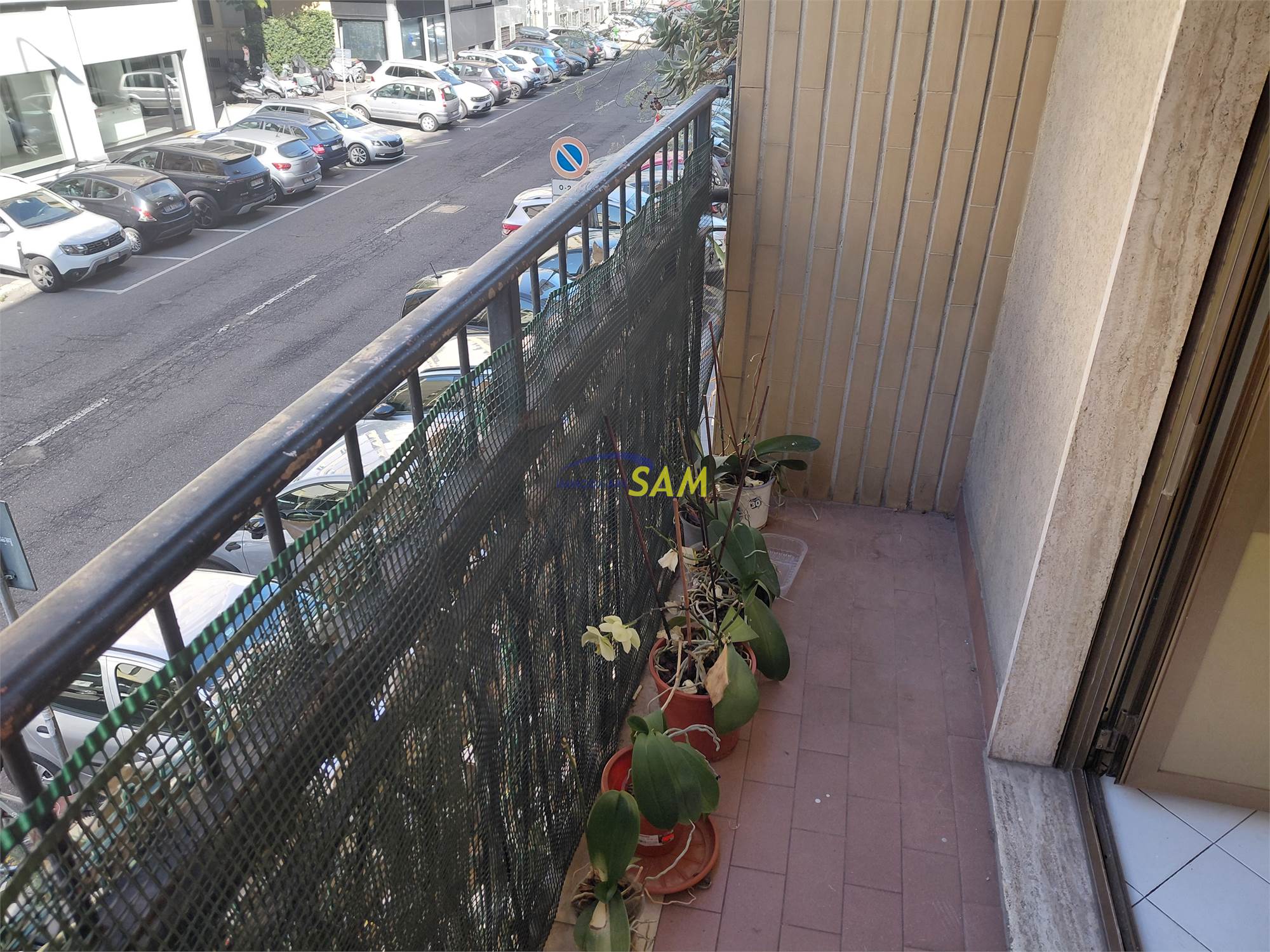 Photo 31
